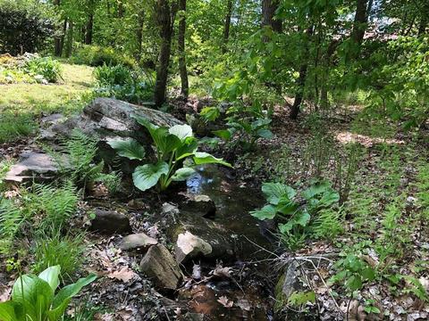 47 Webber Rd, Brookfield, MA 01506 photo 4