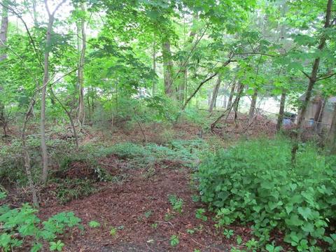 12 Eel Pond Rd, Bourne, MA 02532 photo 1