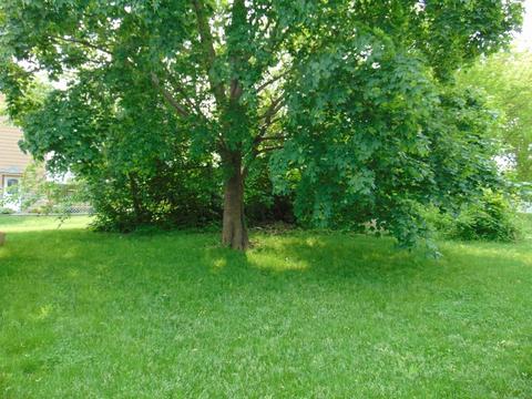16 Evelyns Way, Fall River, MA 02724 photo 5