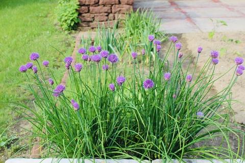 32 Mellon St, Springfield, MA 01104 photo 19