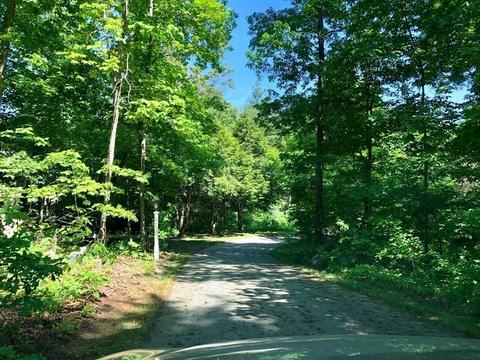 11 Mount St, Franklin, MA 02038 photo 36