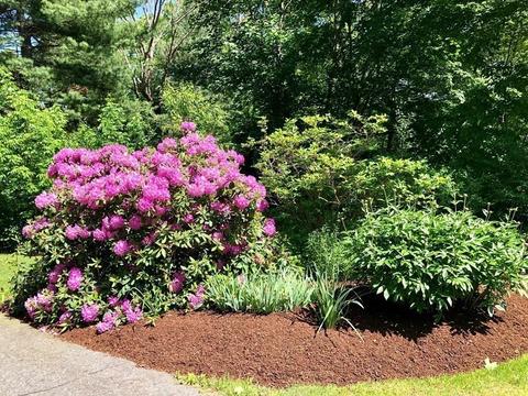 11 Mount St, Franklin, MA 02038 photo 34