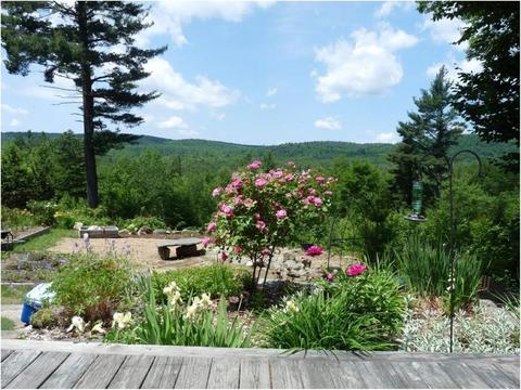 470 W Main St, Plainfield, MA 01070 photo 2