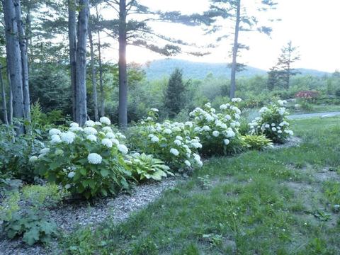 470 W Main St, Plainfield, MA 01070 photo 33