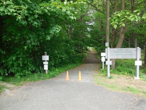 41 E Green St, Easthampton, MA 01027 photo 19