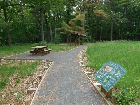 41 E Green St, Easthampton, MA 01027 photo 22