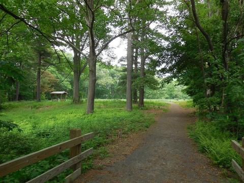 41 E Green St, Easthampton, MA 01027 photo 21