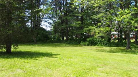 81 E Hadley Rd, Amherst, MA 01002 photo 5