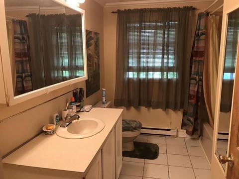 44 Dewey St, Saugus, MA 01906 photo 14