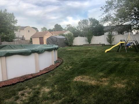 29 Pheasant Dr, Springfield, MA 01119 photo 4