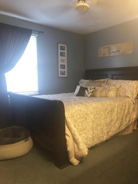 29 Pheasant Dr, Springfield, MA 01119 photo 11