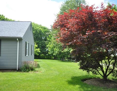 248 Charles River St, Needham, MA 02492 photo 19