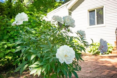 17 Deerfield Dr, Easthampton, MA 01027 photo 9