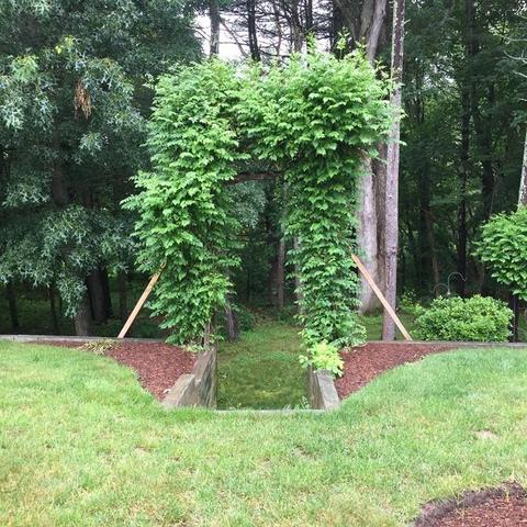 75 Ridge Rd, Raynham, MA 02767 photo 24