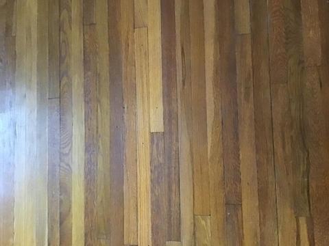 48 Van Ness St, Springfield, MA 01107 photo 17