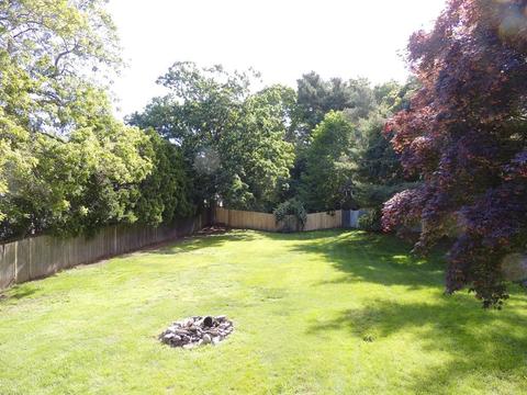4 David Rd, Randolph, MA 02368 photo 4