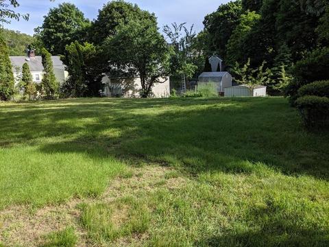 234 Central Ave, Needham, MA 02494 photo 3