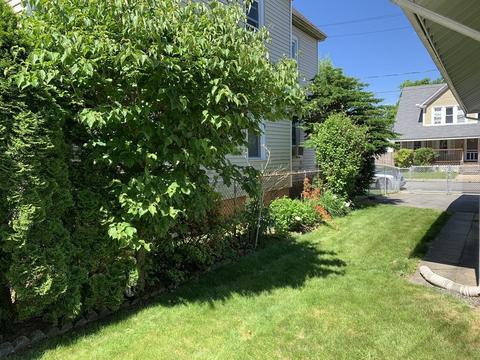 17 Amity Ct, Springfield, MA 01108 photo 6