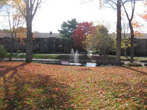 11 Davis Rd #B1, Acton, MA 01720 photo 17