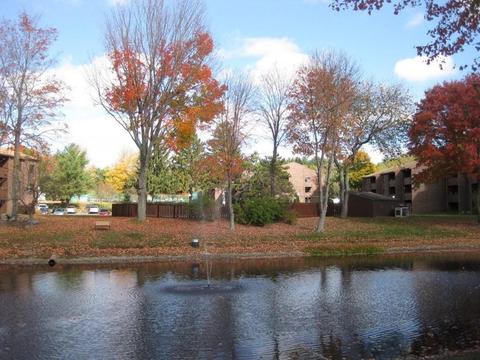 11 Davis Rd #B1, Acton, MA 01720 photo 12