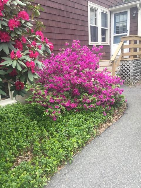 16 Tolman St, Canton, MA 02021 photo 18