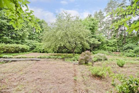 40 Brittany Rd, Springfield, MA 01151 photo 39