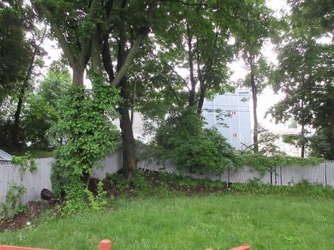 6 Rice Ln, Worcester, MA 01604 photo 25