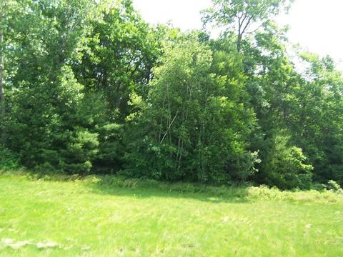 65 Anderson Rd, Ware, MA 01082 photo 17