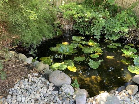 178 Summer St, Walpole, MA 02071 photo 8