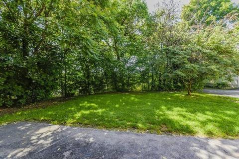 68 Harvard St, Dedham, MA 02026 photo 23