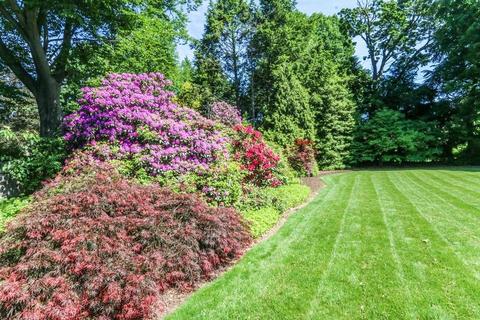 120 Ely Rd, Longmeadow, MA 01106 photo 6