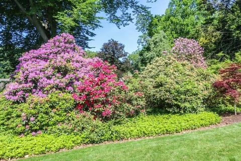 120 Ely Rd, Longmeadow, MA 01106 photo 7