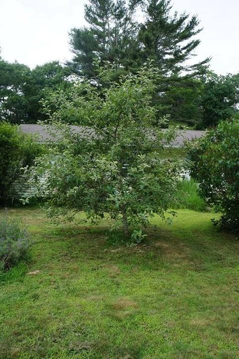 30 Dennis Ln, Wareham, MA 02571 photo 2