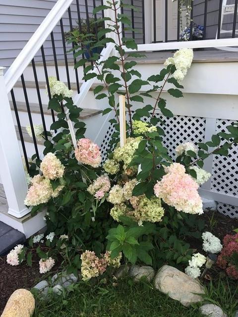47 Cadish Ave, Hull, MA 02045 photo 19