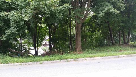 1439 Main St, Worcester, MA 01603 photo 6