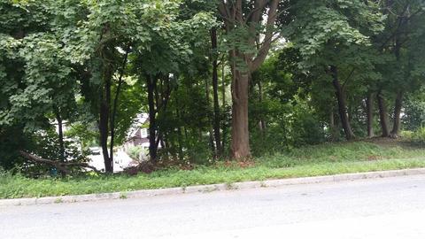 1439 Main St, Worcester, MA 01603 photo 5
