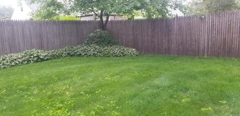 30 Mayfield St, Springfield, MA 01108 photo 5