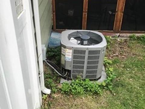 87 Davis St, Springfield, MA 01104 photo 21