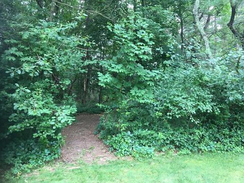 165 Britton St, Raynham, MA 02767 photo 29