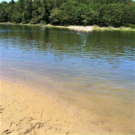 87 Maple Springs Rd, Wareham, MA 02571 photo 20