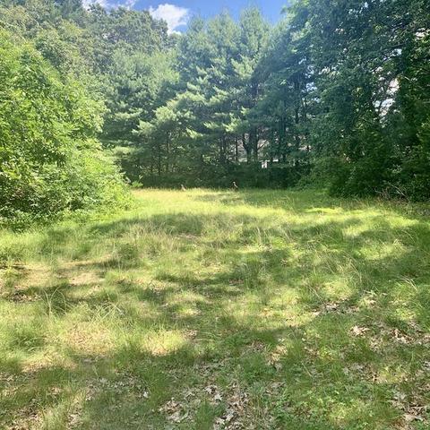 531 Common St, Dedham, MA 02026 photo 1