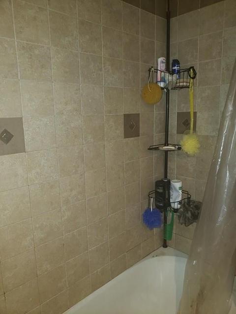206 Balboa Dr, Springfield, MA 01119 photo 7