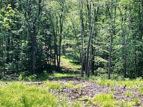 55 Blake Corner Rd, Phillipston, MA 01331 photo 2