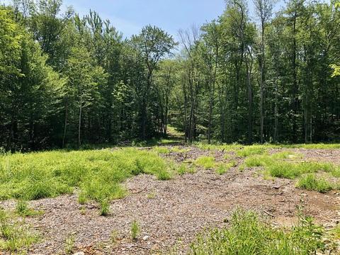 55 Blake Corner Rd, Phillipston, MA 01331 photo 1