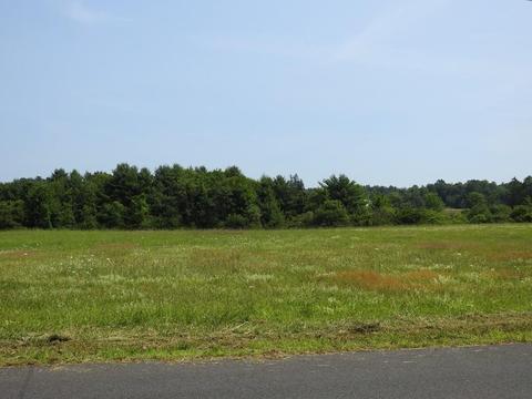 68 Oliver St, Easthampton, MA 01027 photo 6