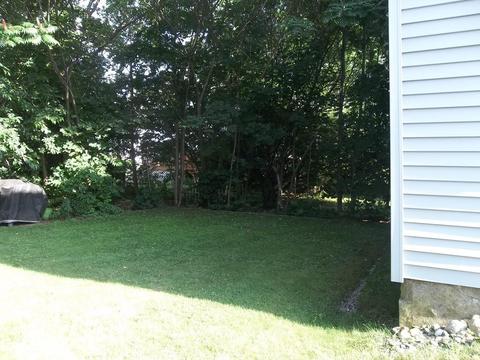 12 Francis St, Worcester, MA 01606 photo 21