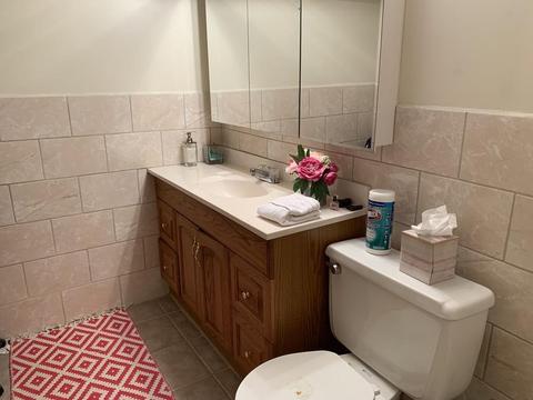 40 Allston Ave, Worcester, MA 01604 photo 20