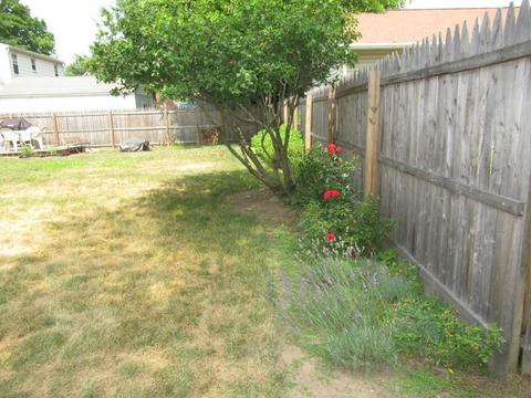 227 Prentice St, Springfield, MA 01104 photo 30