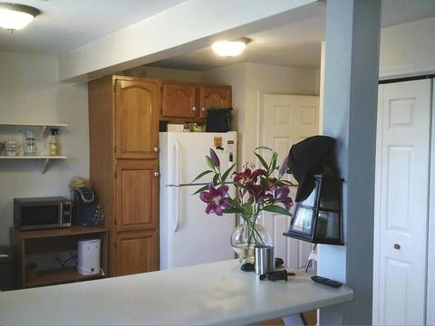 172 Swifts Beach Rd, Wareham, MA 02571 photo 10