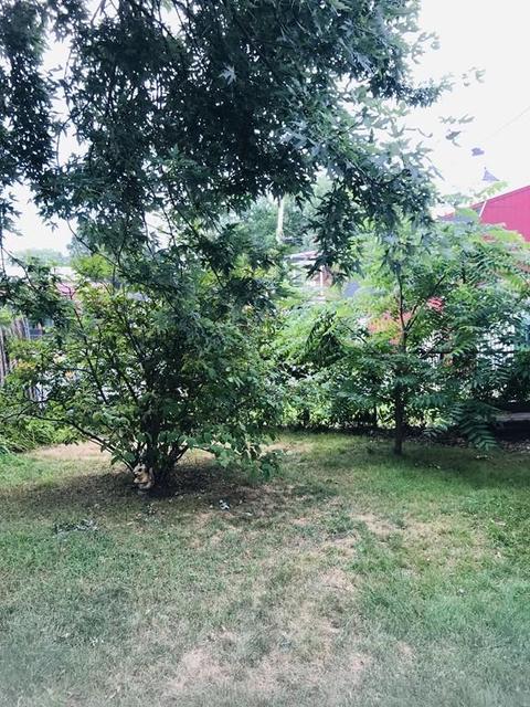 344 Belmont Ave, Springfield, MA 01108 photo 5